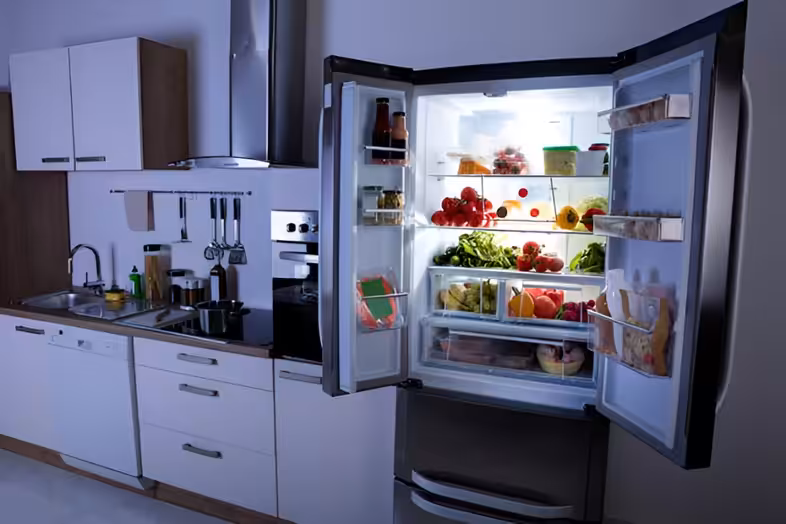 Emergency Fixes: What to Do When Your Luxury Refrigerator Stops Cooling